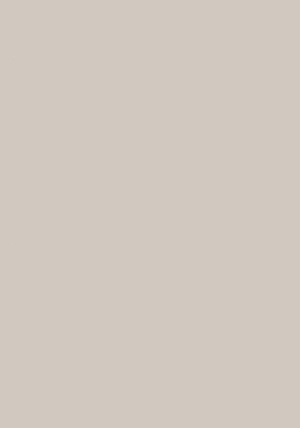 Matte Beige - Custom