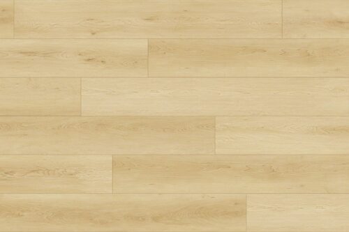 American Maple