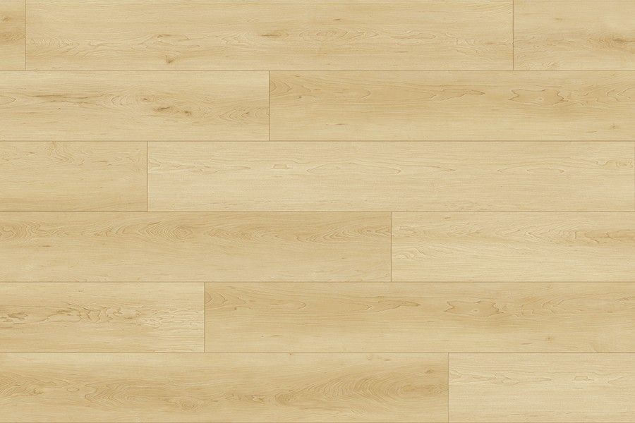 American Maple