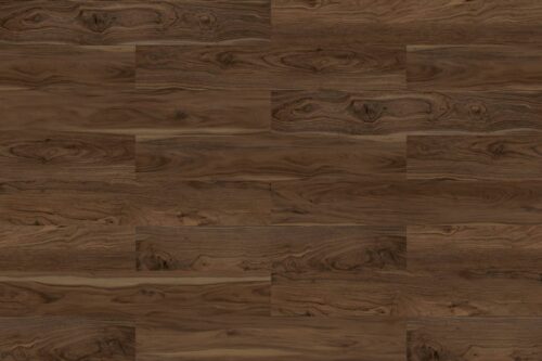 American Walnut