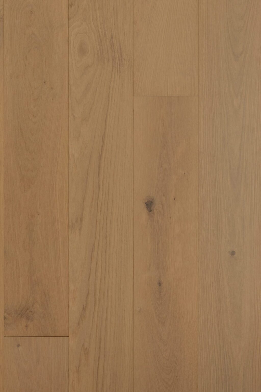GW313C Royal Oak