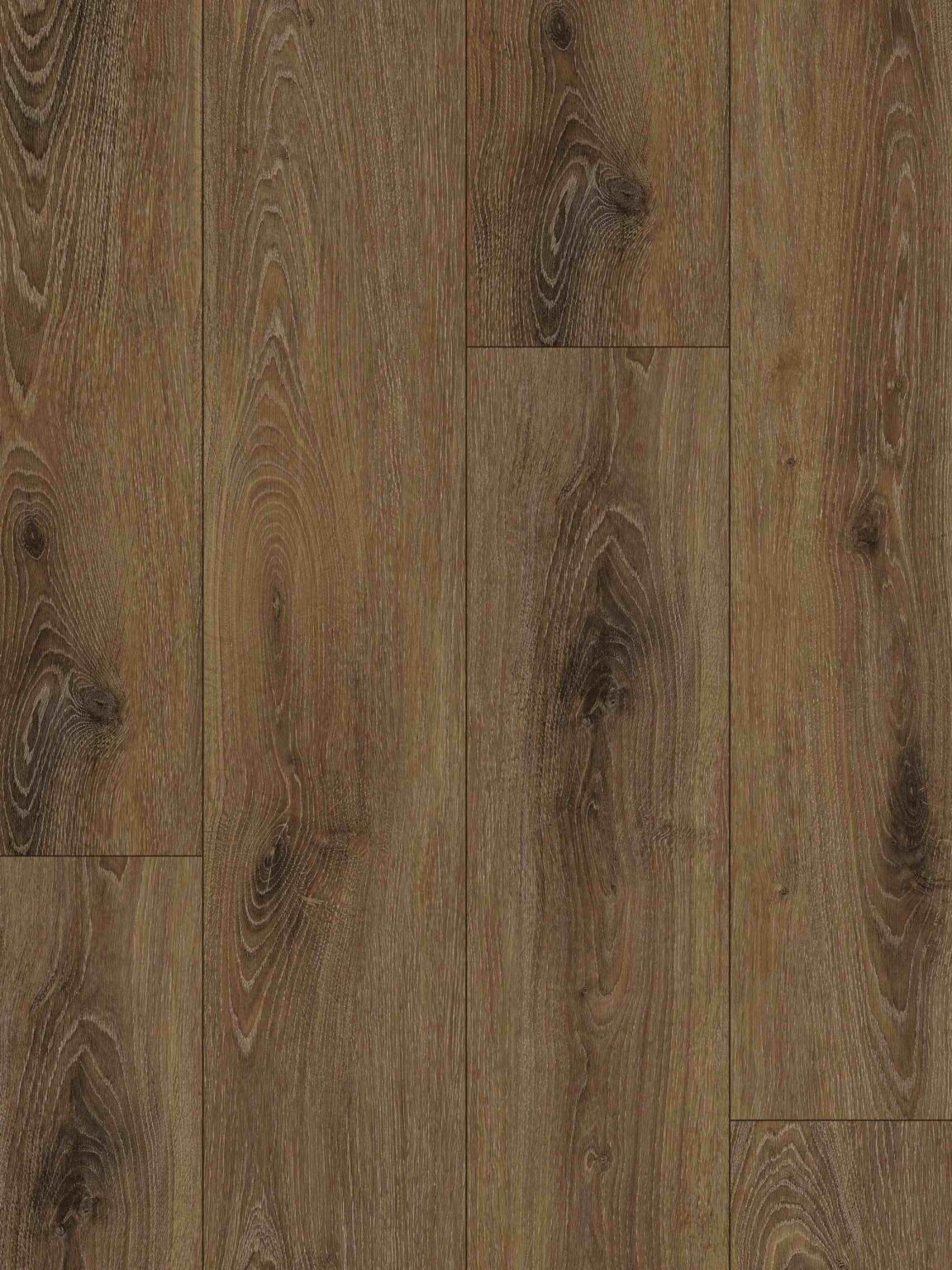 GW504 - Maple Pass