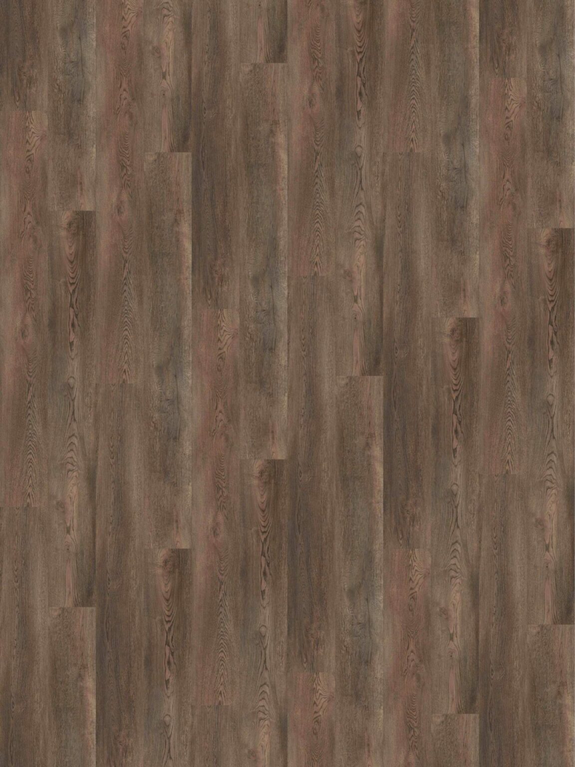 GW506 - Coal Creek
