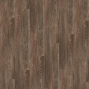 GW506 - Coal Creek
